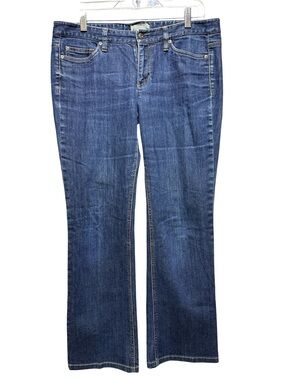 Ann Taylor Dark Blue Flare Jeans
